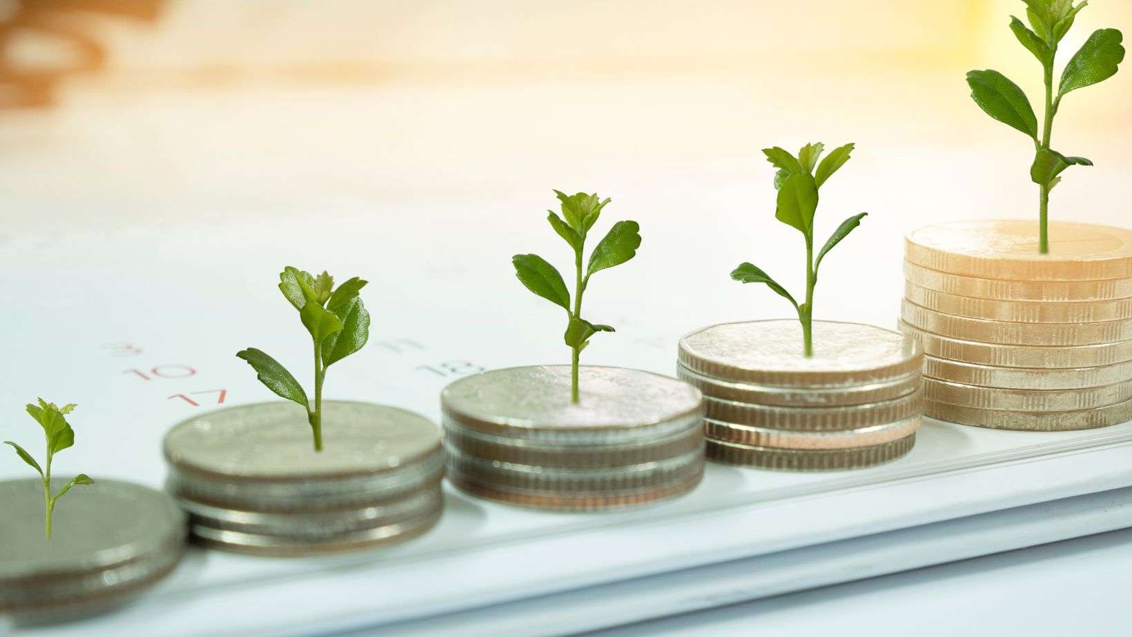 Cost Saving - PiliSource - Experience the Difference